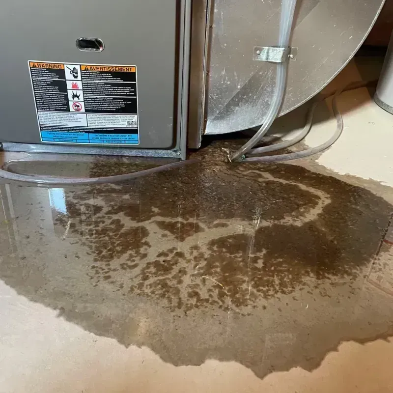 Appliance Leak Cleanup in West Orange, NJ